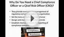 Chief Compliance Officer: What Does it Take To Do The Job?